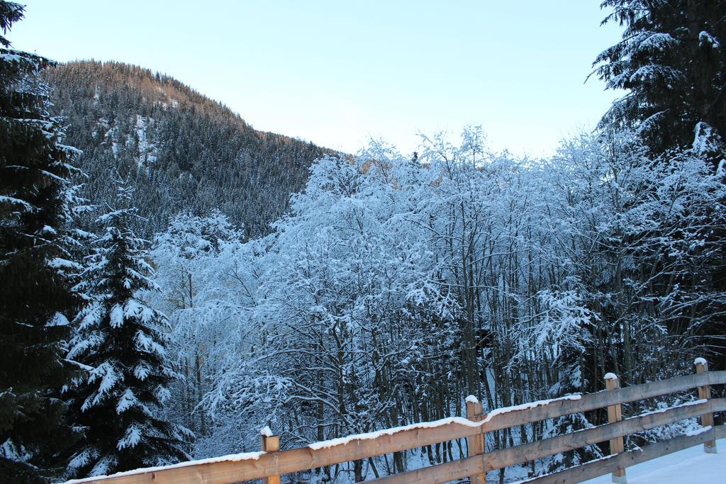 Ferienwohnung Earthloft Bad Kleinkirchheim Ruang foto
